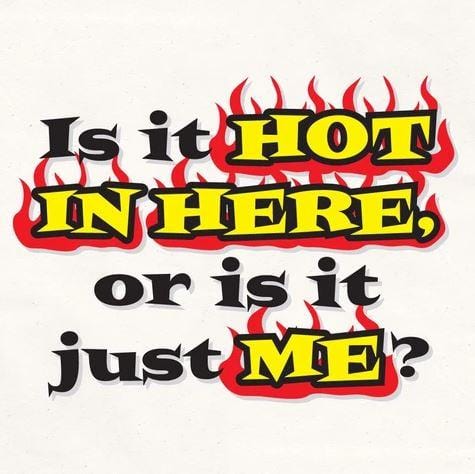 LA Imprints Attitude Apron - is it Hot in Here - Image 3