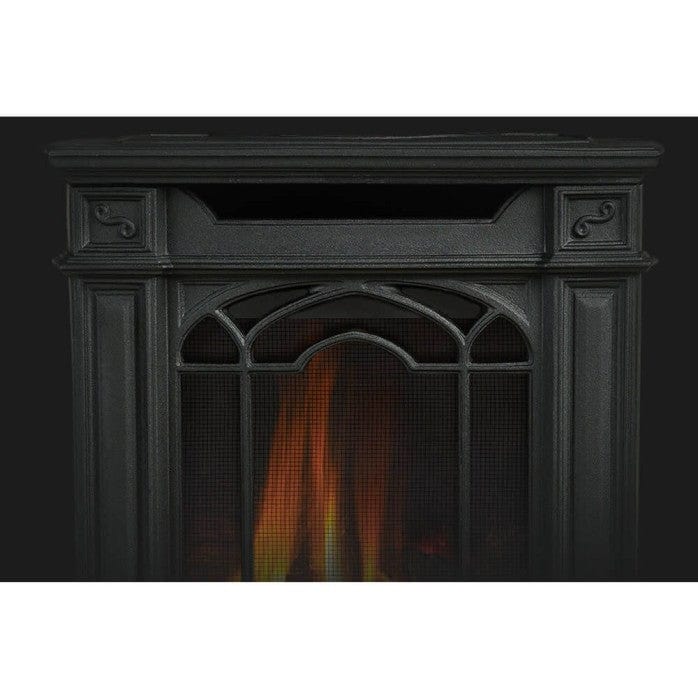 Napoleon Arlington Gas Stove (Electronic Ignition) - Image 3