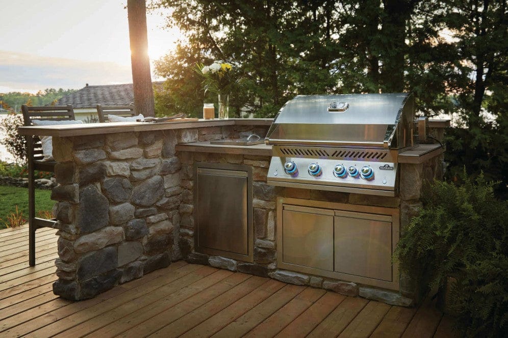 Napoleon Built-In 700 Series 32" Gas Grill w/ Rear Burner - BIG32RB-1 - Image 6