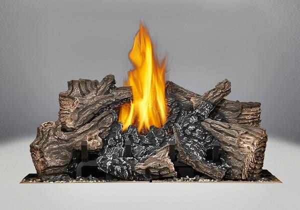 Napoleon Burner Assembly (High Definition HD81) - Image 2