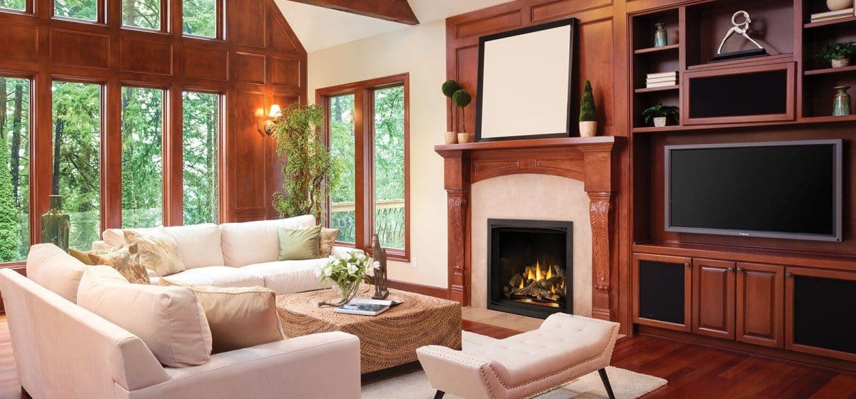 Napoleon Elevation X 42 Gas Fireplace - Image 2