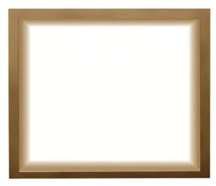 Napoleon Finish Trim (Altitude X AX36) - Image 3