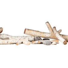 Napoleon High Definition Log Kit - Birch (62") - BLKTLV62