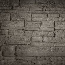 Napoleon Ledgestone Decorative Brick Panel (BLP42) - DBPBL42LS