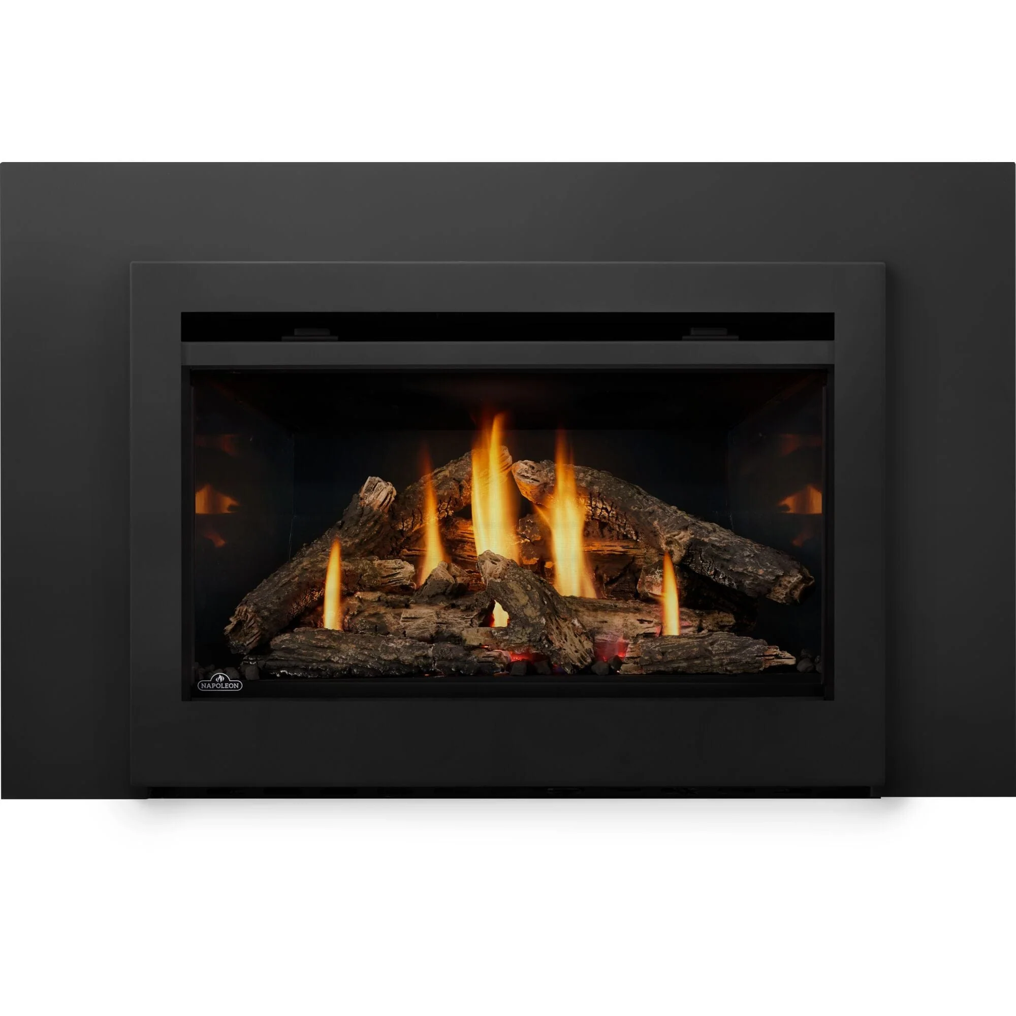 Napoleon Rosedale 3 Gas Insert