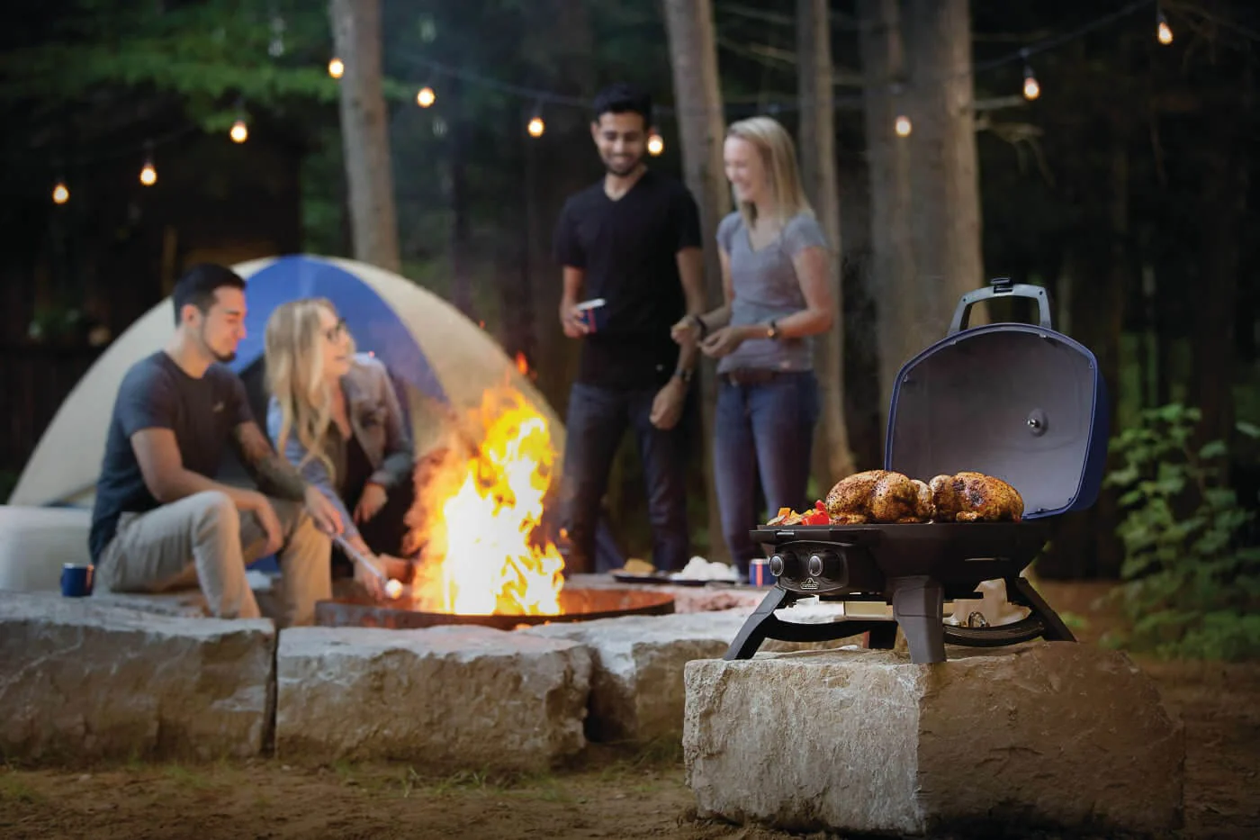 Napoleon TravelQ 285 Portable Gas Grill (Blue) - TQ285-BL-1 - Image 7