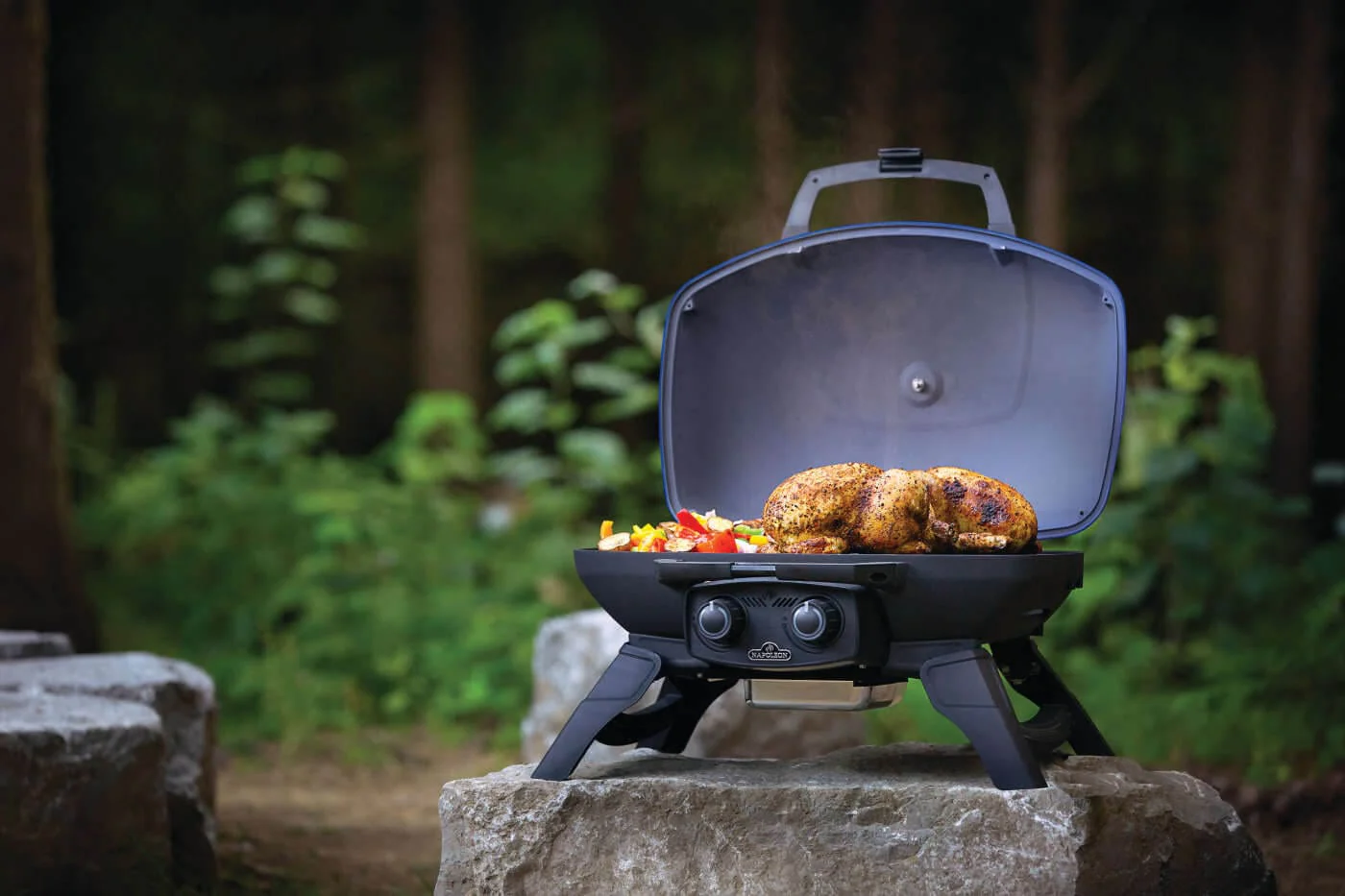 Napoleon TravelQ 285 Portable Gas Grill (Blue) - TQ285-BL-1 - Image 8