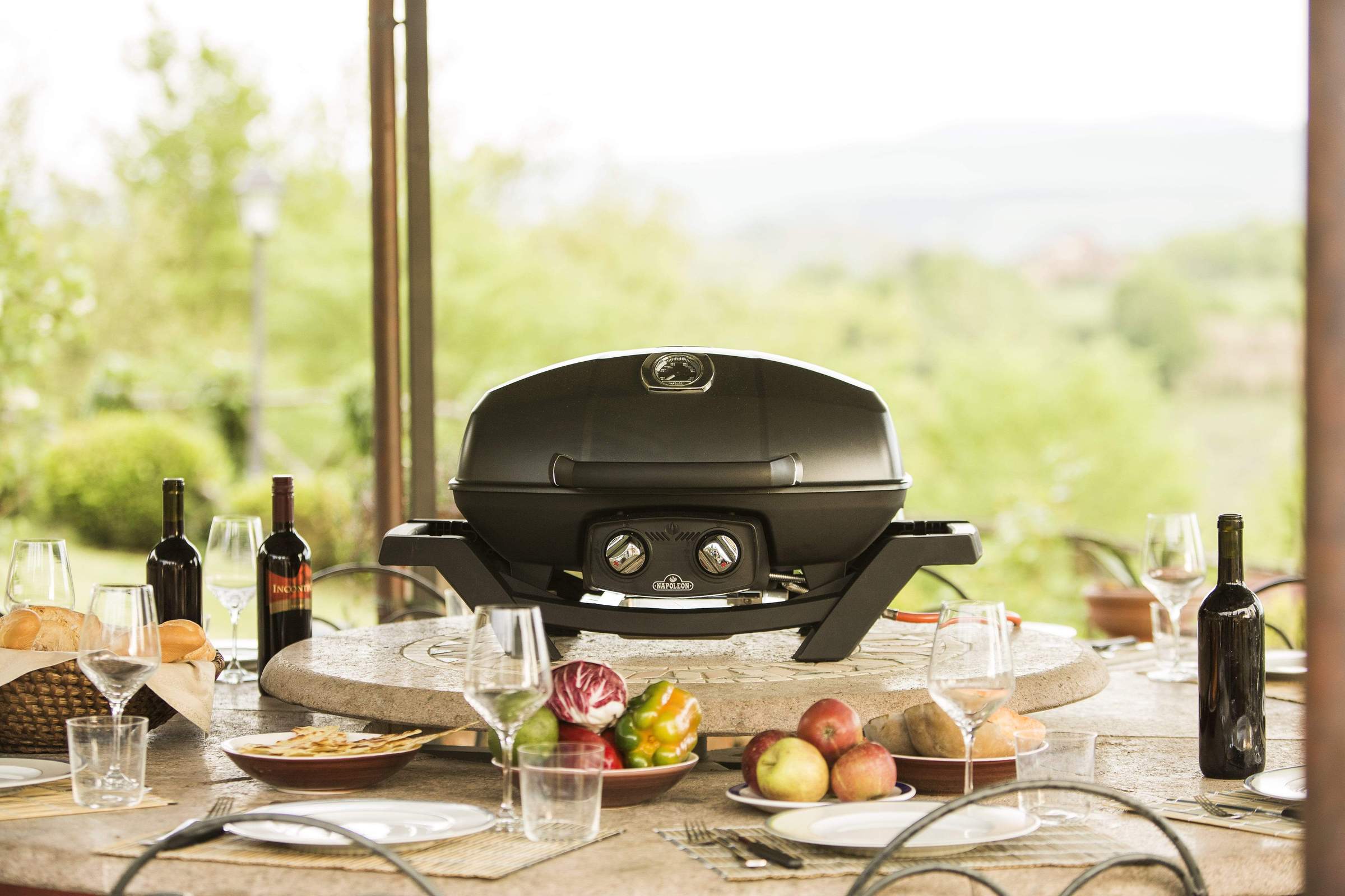 Napoleon TravelQ PRO285 Portable Grill - Image 5