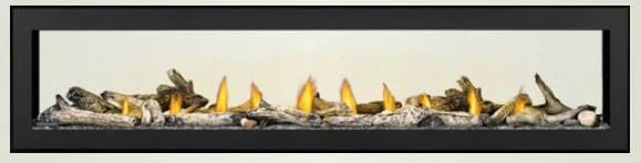 Napoleon Vector 38 See-Thru Direct-Vent Gas Fireplace - Image 5