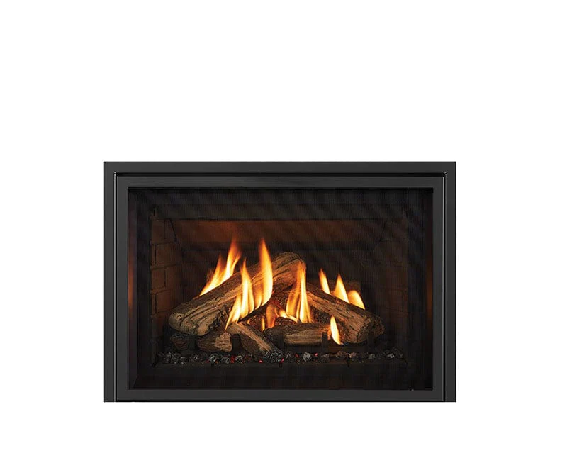 Regency Atmosphere Gi25LE Gas Fireplace Insert - Image 3