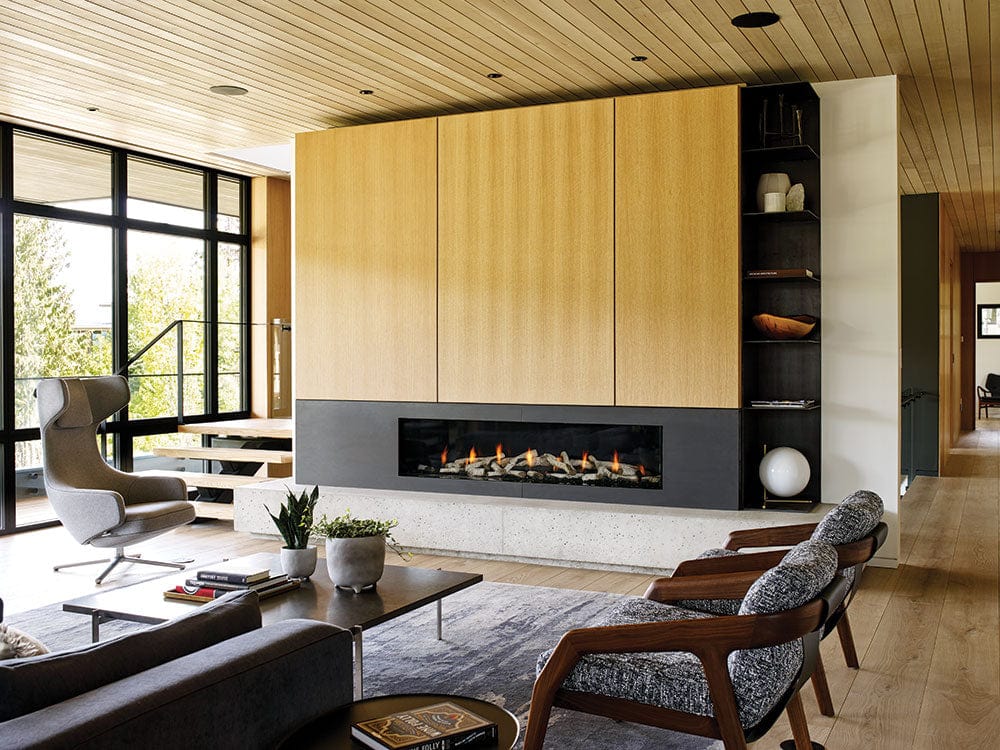Regency City Series New York View 72 Gas Fireplace - Image 3