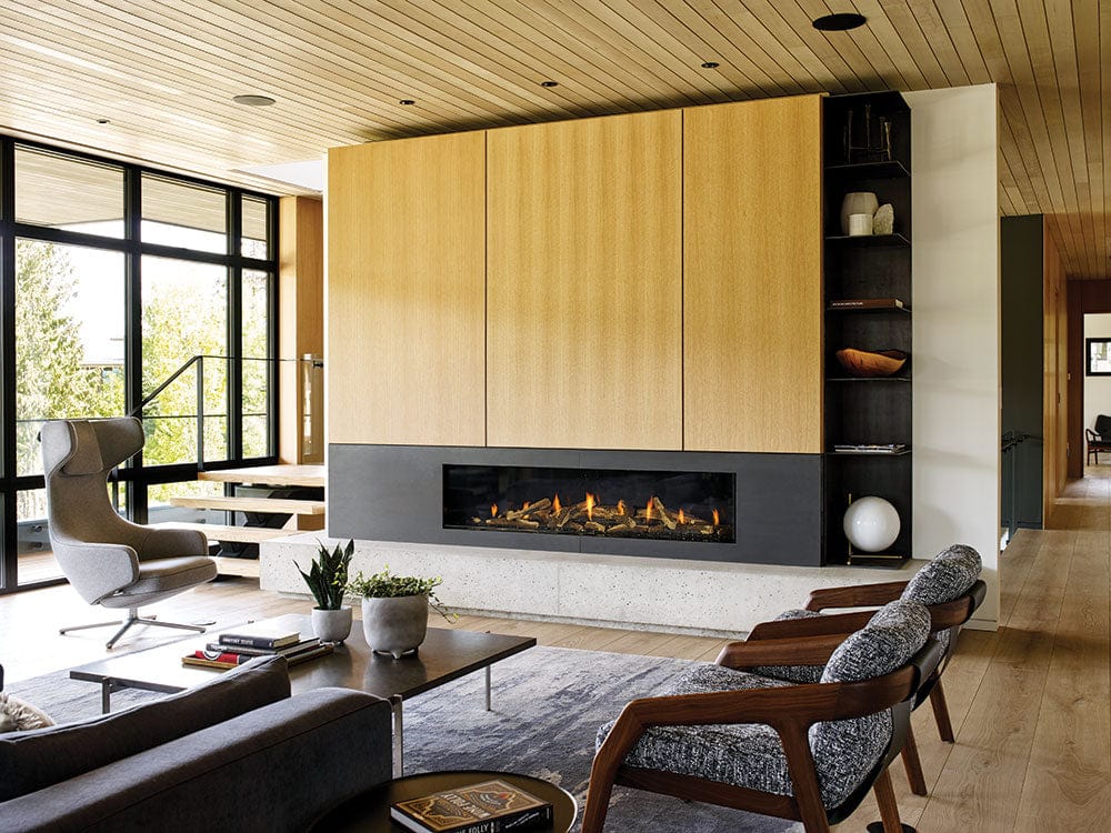 Regency City Series New York View 72 Gas Fireplace - Image 4