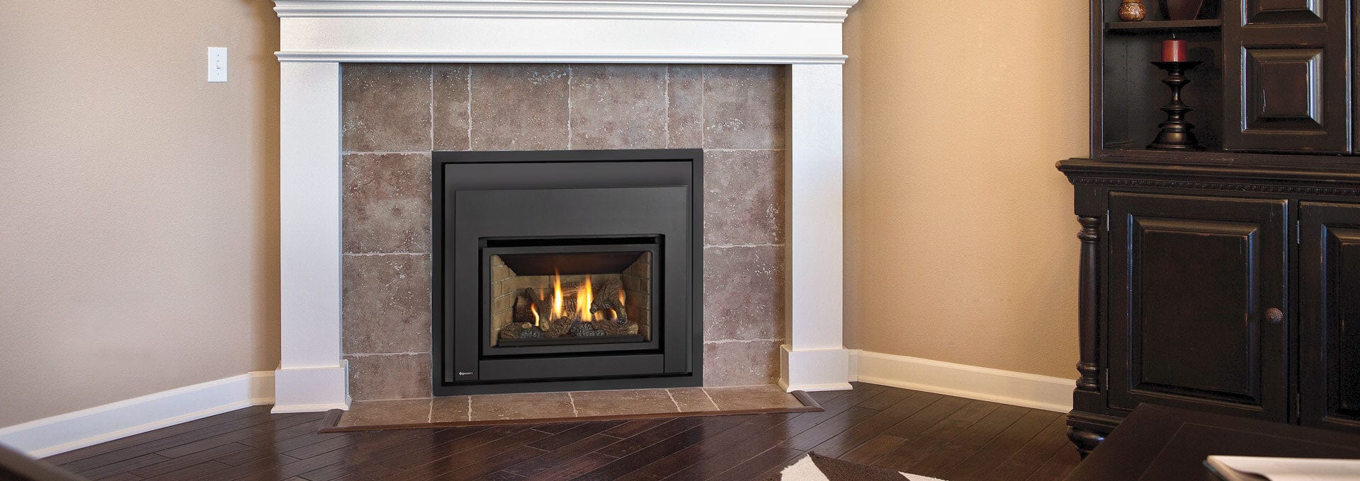 Regency Energy E18E Gas Fireplace Insert - Image 3