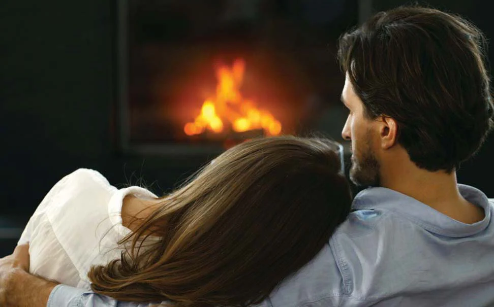 Regency Energy E18E Gas Fireplace Insert - Image 5