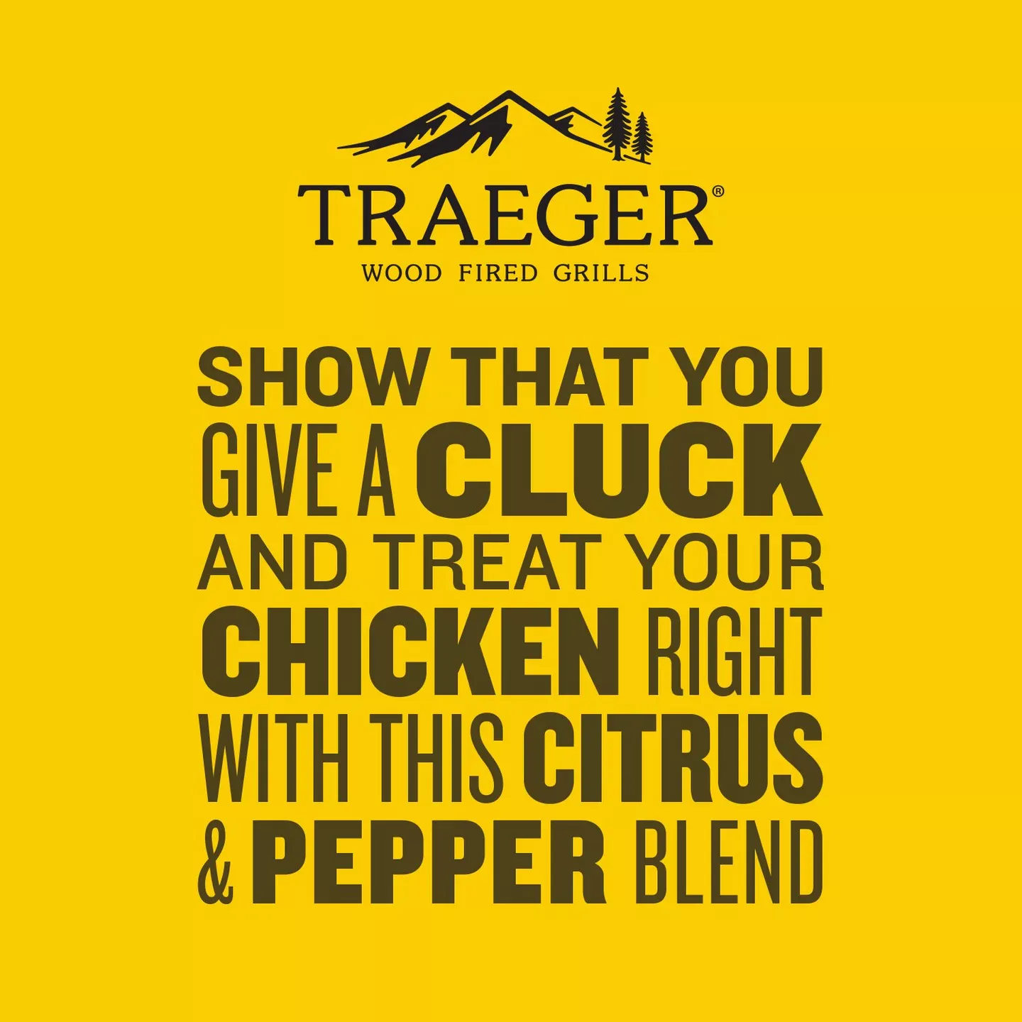 Traeger Chicken Rub (12.5 OZ) - SPC286 - Image 5