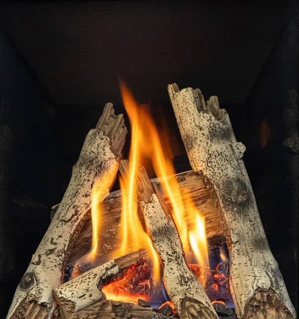 Valor Birch Logs (P2 Gas Fireplace) - 205BLK
