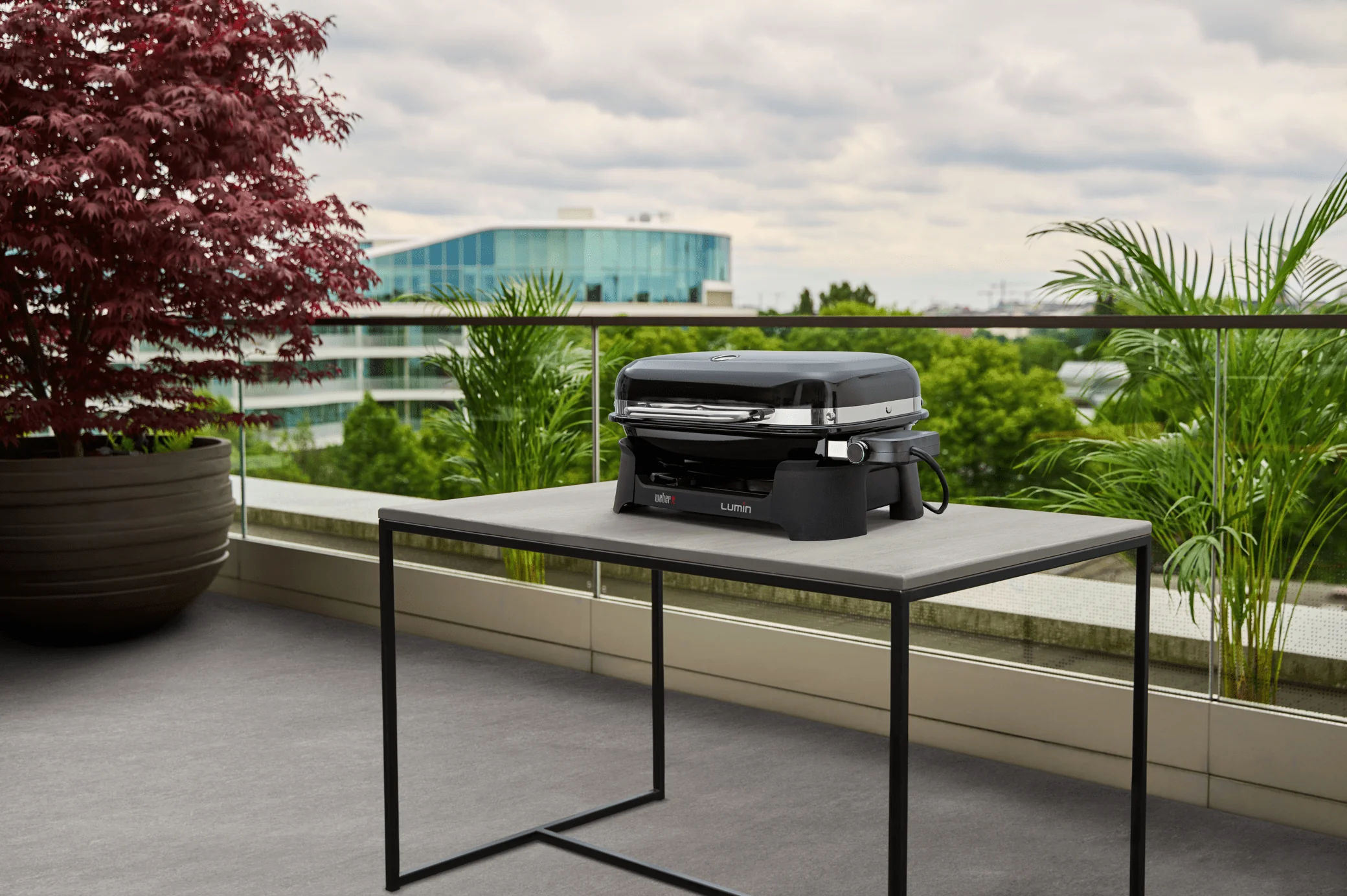 Weber Lumin Electric Grill - Image 14